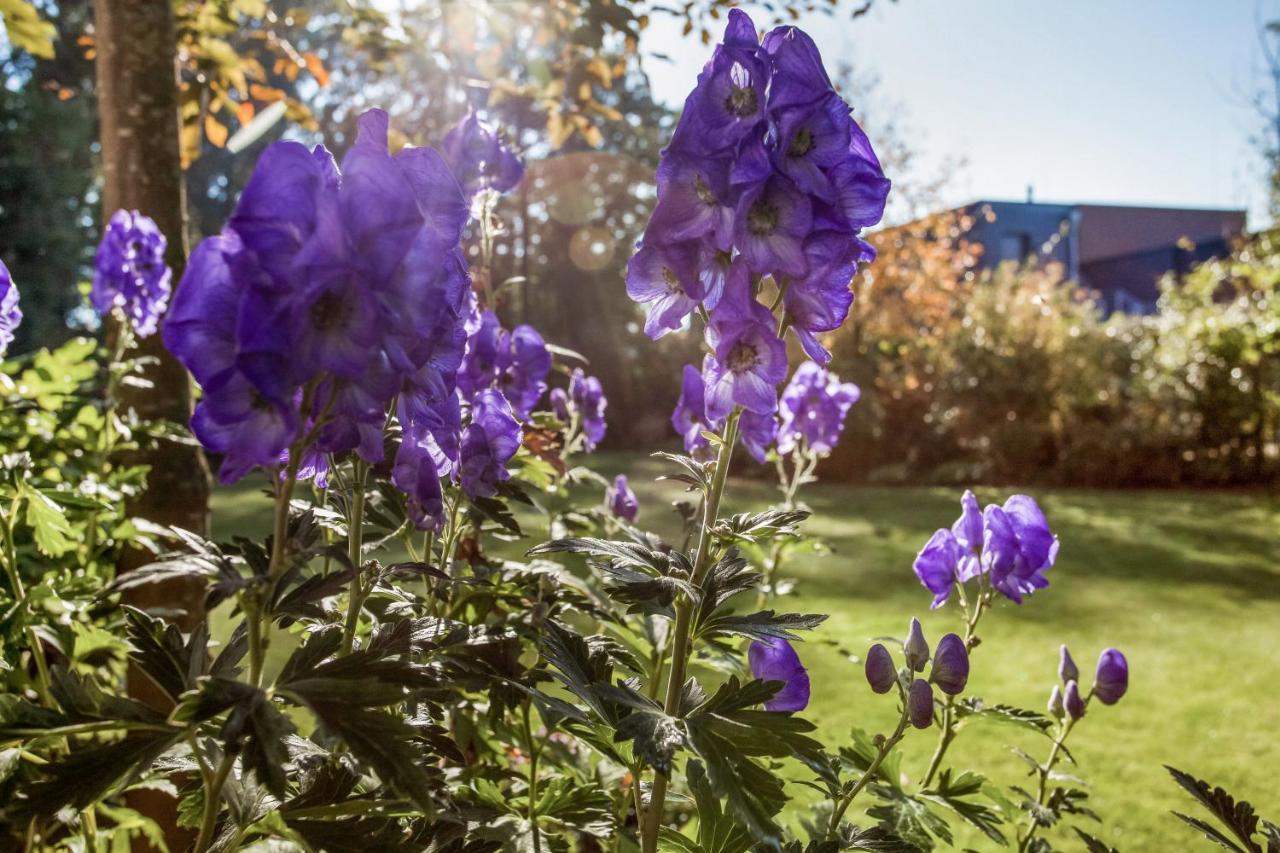 Lindern Alte Molkerei B&B 외부 사진